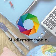 thuisstudie online marketing