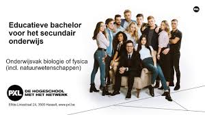 educatieve bachelor