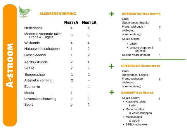 1ste graad secundair onderwijs