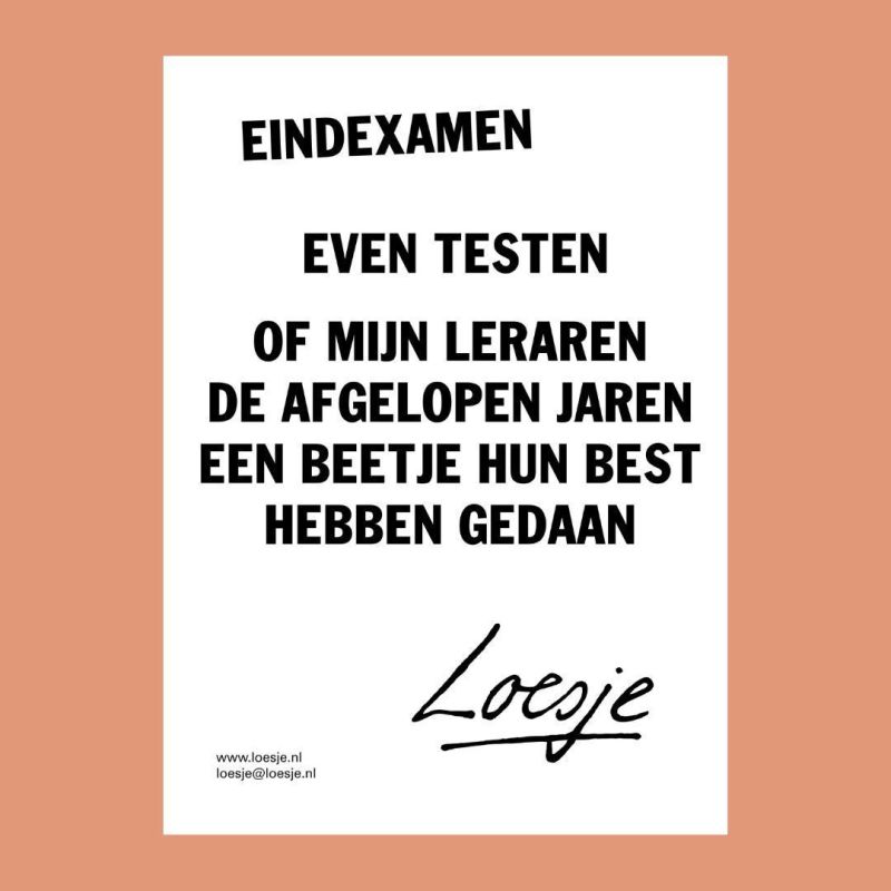 leraar loesje