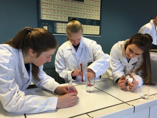 studietoelagen secundair onderwijs
